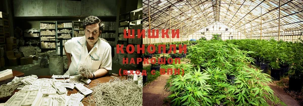mdpv Богданович