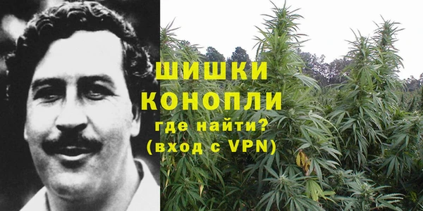 амф Бугульма
