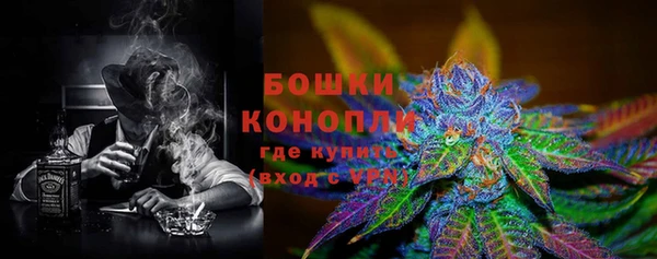 экстази Бородино