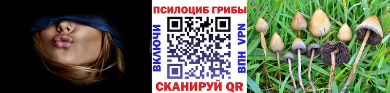 Галлюциногенные грибы мицелий  hydra ссылки  Морозовск 
